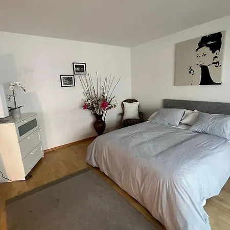 Appartement Schweiz à Bâle Extérieur photo