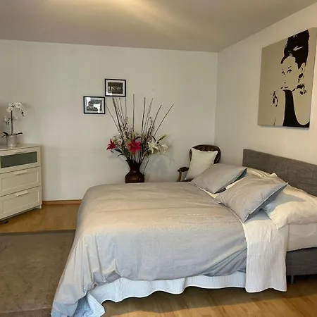 Appartement Schweiz à Bâle Extérieur photo