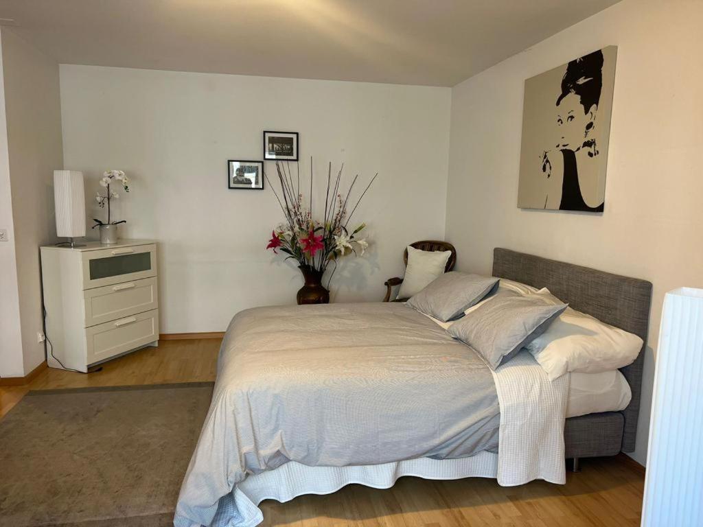 अपार्टमेंट Schweiz Basel